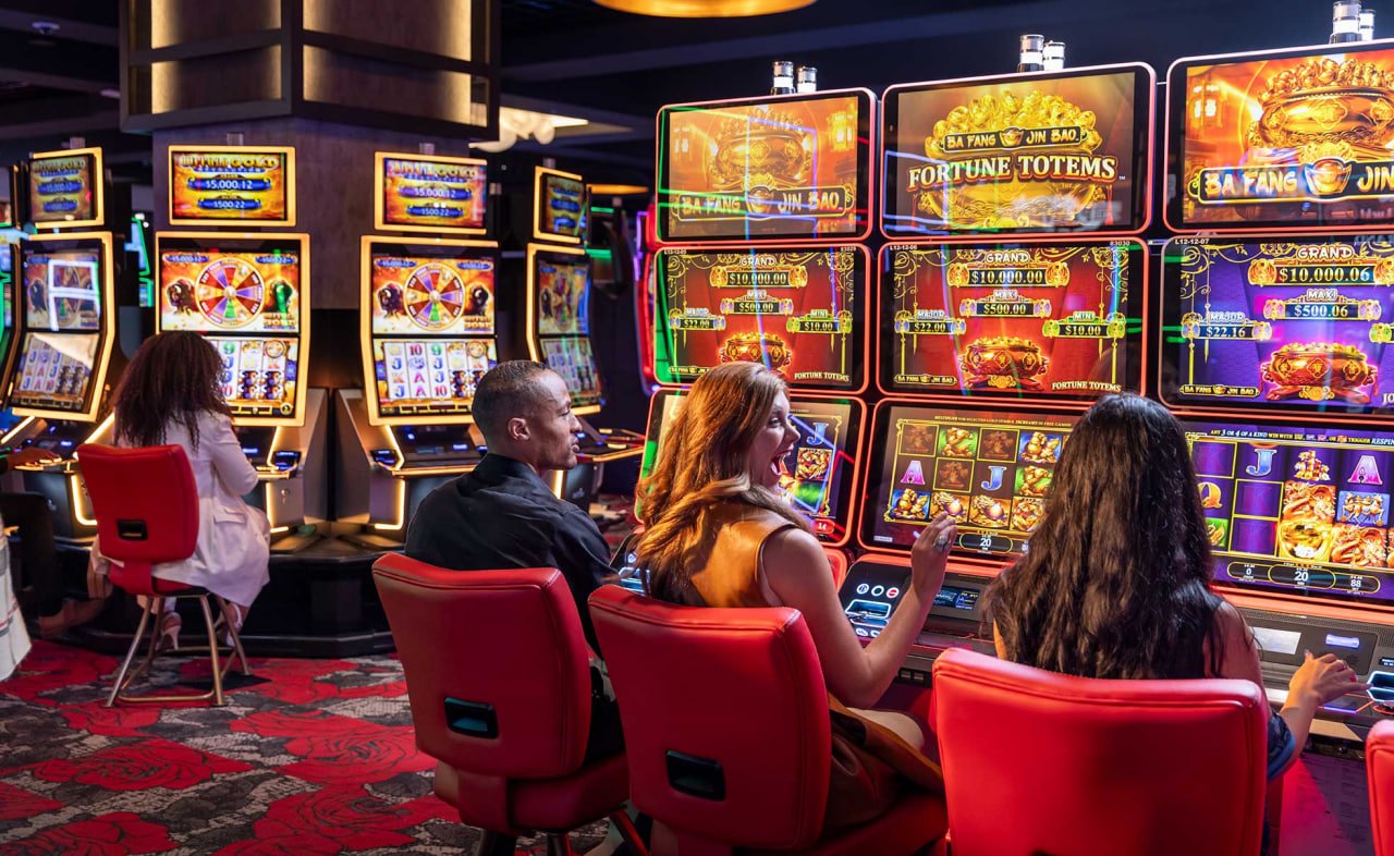 densus togel ATP Tour sportsbook showing live match schedules and betting options